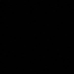 Meet your Posher, Aliah